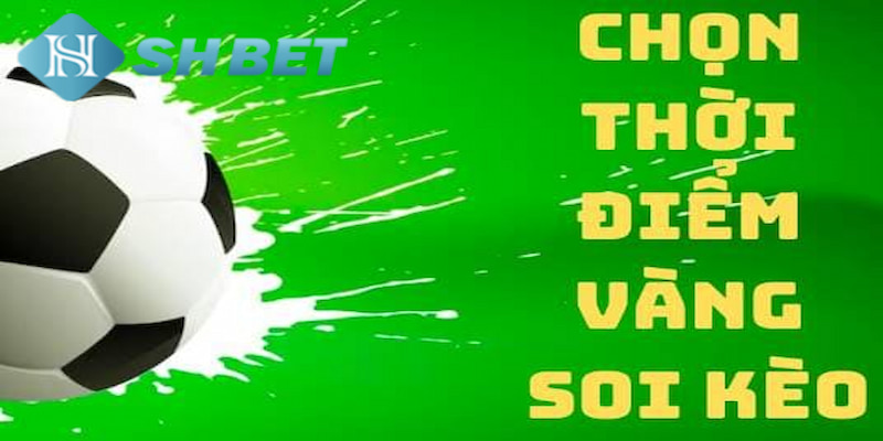 Banner www.thietbisuaoto.com