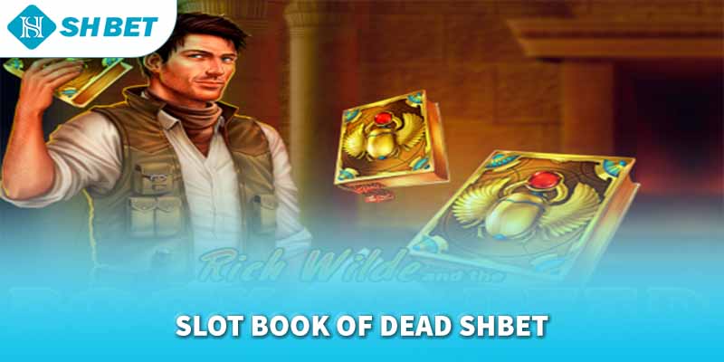 Banner www.thietbisuaoto.com