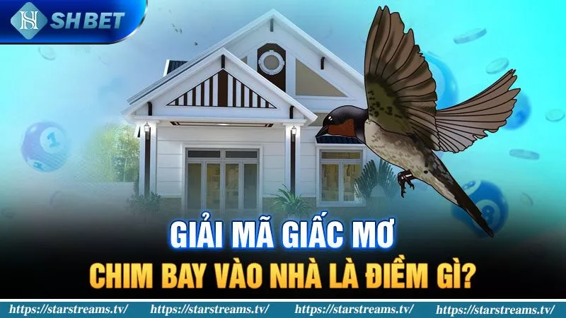 Banner www.thietbisuaoto.com